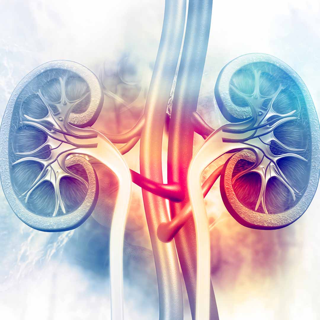 cr&eacute;ation de site internet sur mesure pour &eacute;cole de medecine integrative