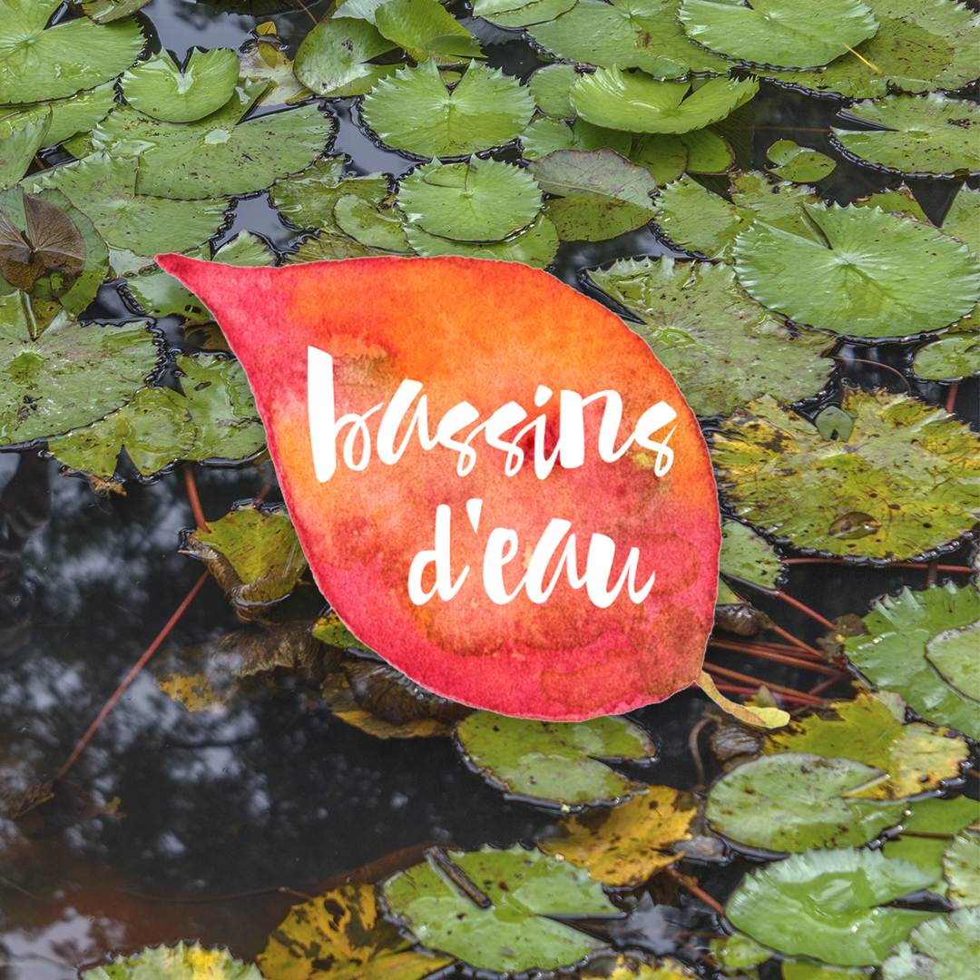 cr&eacute;ation de site vitrine pour jardinier paysagiste &agrave; Mougins 06