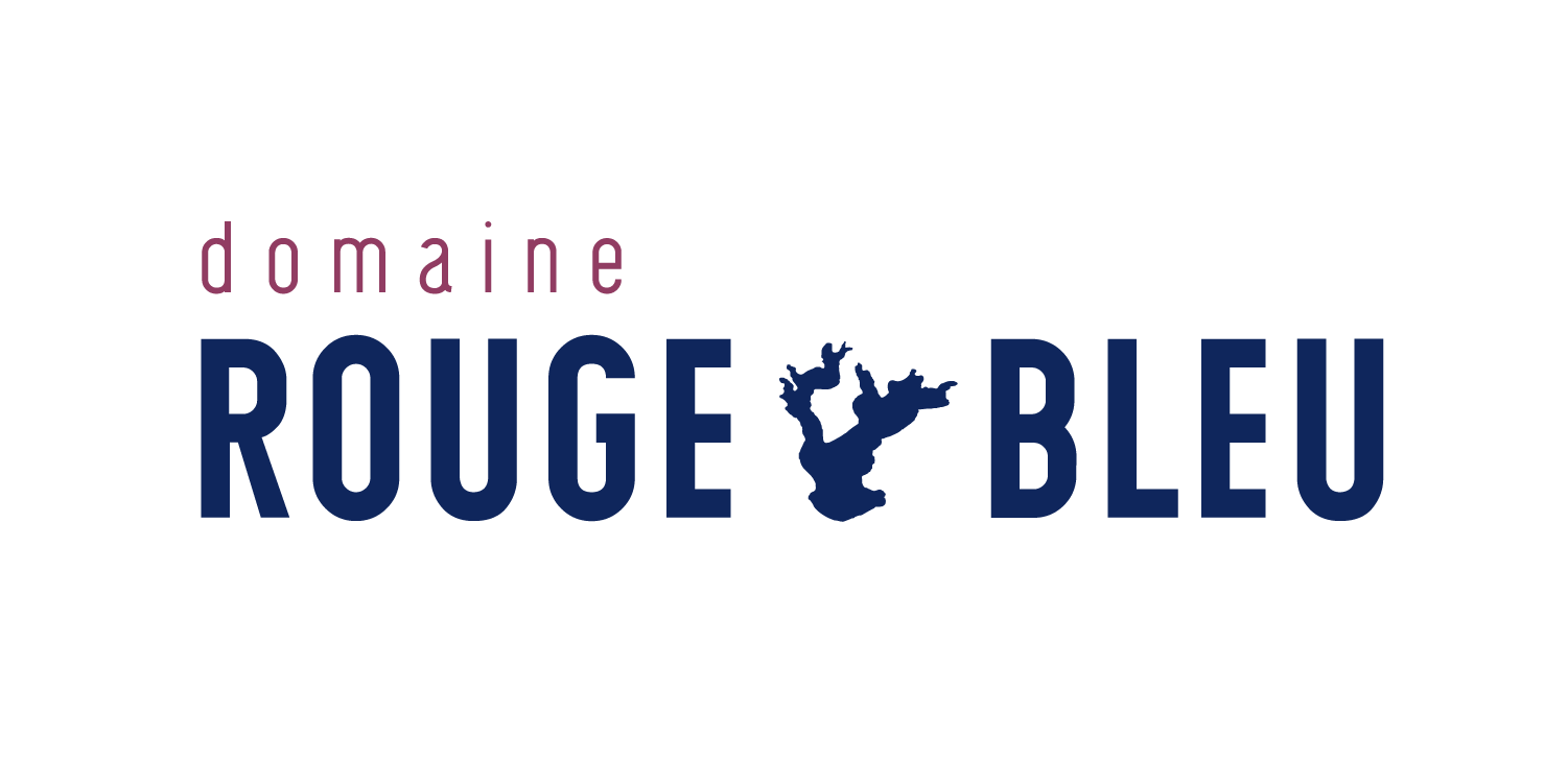création de logo pour domaine de vin en Provence France
